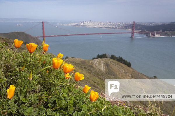 Golden Gate Bridge  Kalifornien  San Francisco  USA