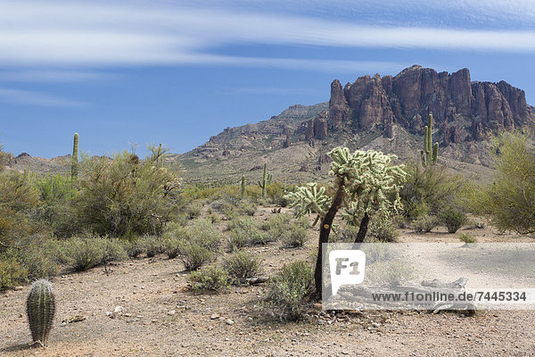 Apache Trail,  Arizona,  USA