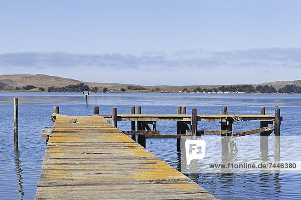 Old crumbling pier on Bodega Bay  California on the Sonoma Coast  A pier reaching out over the water  Coastline