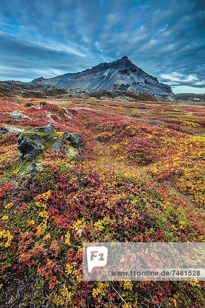 entfernt Landschaft Lava Herbst Island Moos