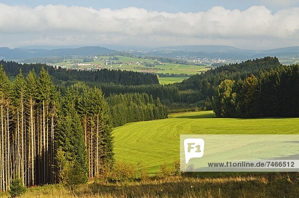 entfernt Europa Wald Ansicht Bayern Breitenberg Deutschland