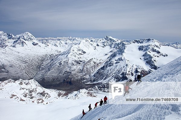 Ski touring in the Alps  ascent to Punta San Matteo  on the border of Lombardia and Trentino-Alto Adige  Italy  Europe