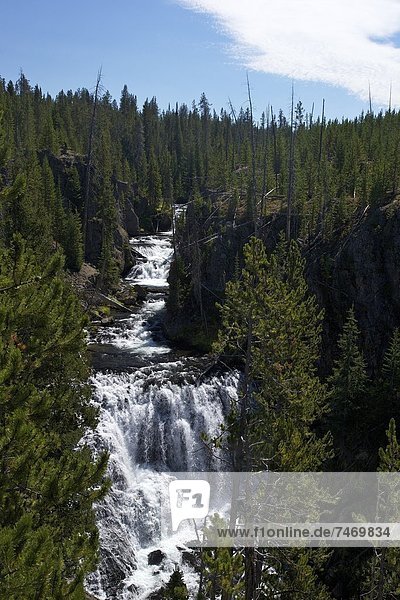 Kepler Cascades  Yellowstone National Park  UNESCO World Heritage Site  Wyoming  United States of America  North America