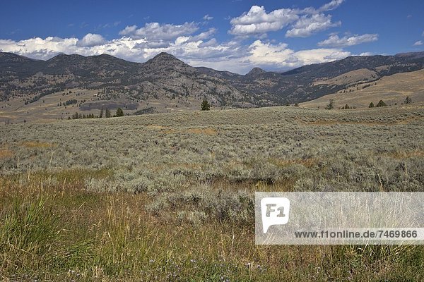 Vereinigte Staaten von Amerika  USA  Landschaft  Fernverkehrsstraße  Ehrfurcht  Nordamerika  UNESCO-Welterbe  Yellowstone Nationalpark  Wyoming
