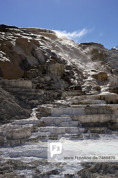 Palette Spring  Mammoth Hot Springs  Yellowstone National Park  UNESCO World Heritage Site  Wyoming  United States of America  North America