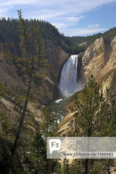 View of Lower Falls from Red Rock Point  Grand Canyon of the Yellowstone River  Yellowstone National Park  UNESCO World Heritage Site  Wyoming  United States of America  North America