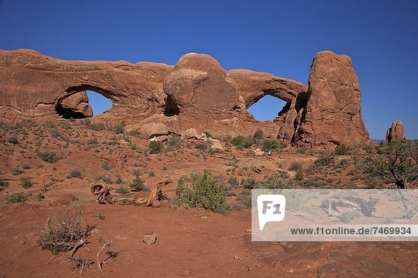 The Spectacles (North and South Windows)  Arches National Park  Moab  Utah  United States of America  North America