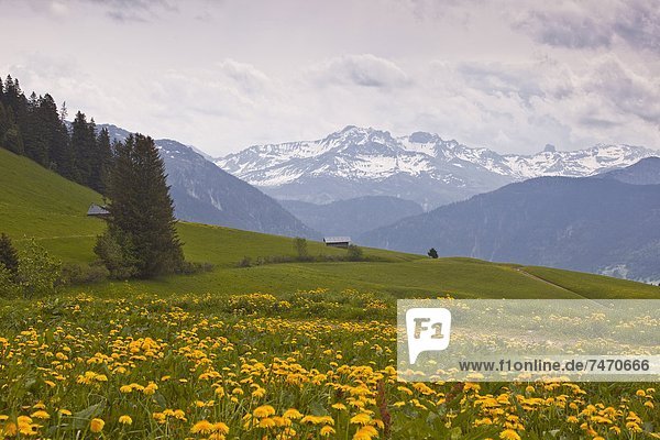 nahe  Frankreich  Europa  Berg  bedecken  Haute-Savoie  Savoie  Schnee