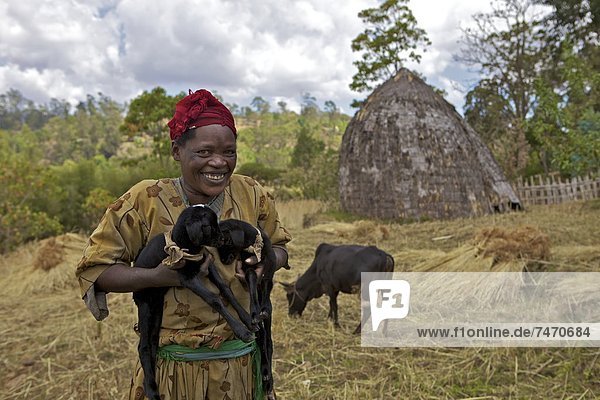 Farmer holding lambs  Chencha  Dorze  Ethiopia  Africa