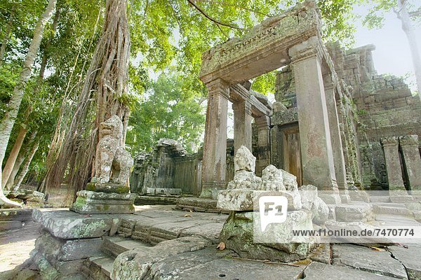 Angkor  UNESCO World Heritage Site  Siem Reap  Cambodia  Indochina  Southeast Asia  Asia