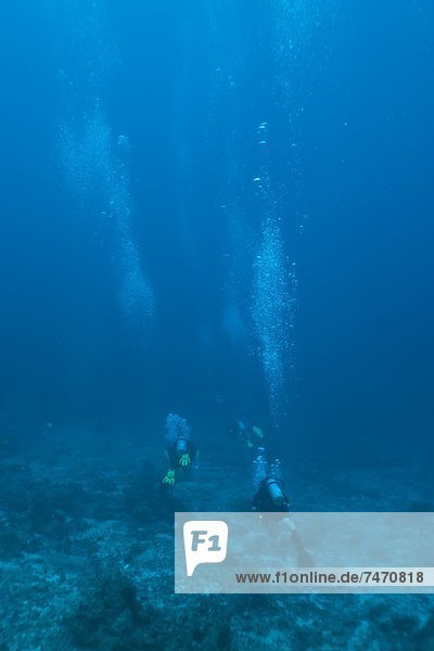 Scuba divers underwater  Thailand  Andaman Sea  Indian Ocean  Asia