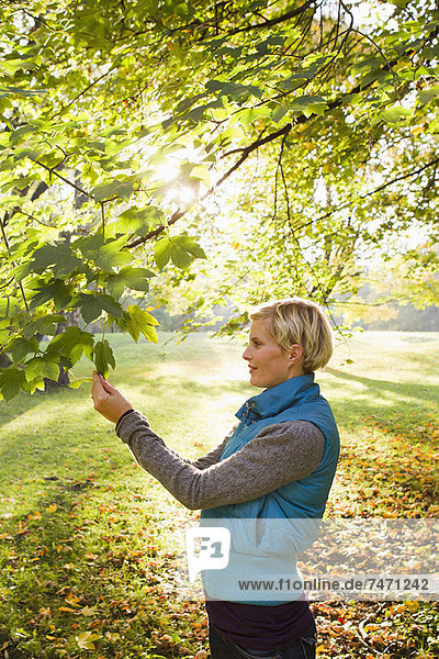 Frau bewundert Blätter im Park
