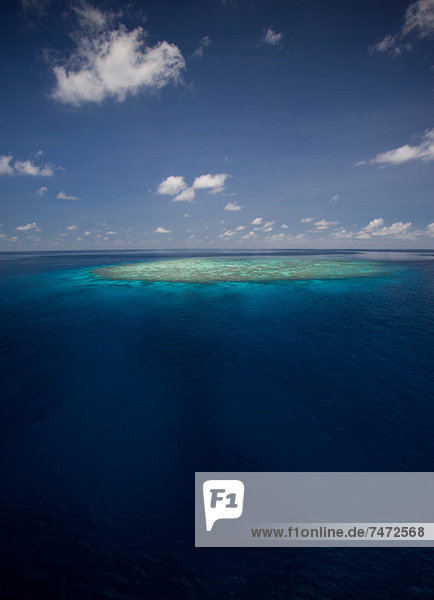 Coral reef in tropical water