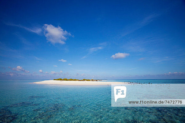 Sandbar in tropical water