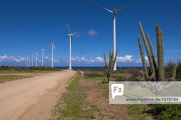 Windturbine Windrad Windräder Fernverkehrsstraße schmutzig Karibik Aruba Kaktus Kleine Antillen