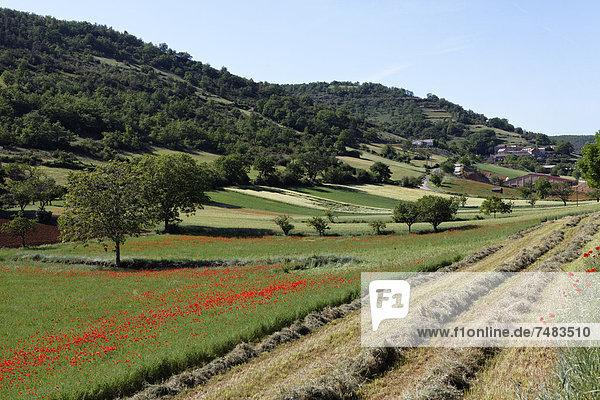 Landwirtschaftsgebiet in der Nähe von Peyre Millau Parc Naturel Regional des Grands Causses Regionaler Naturpark Grands Causses Aveyron Midi Pyrenees Frankreich Europa