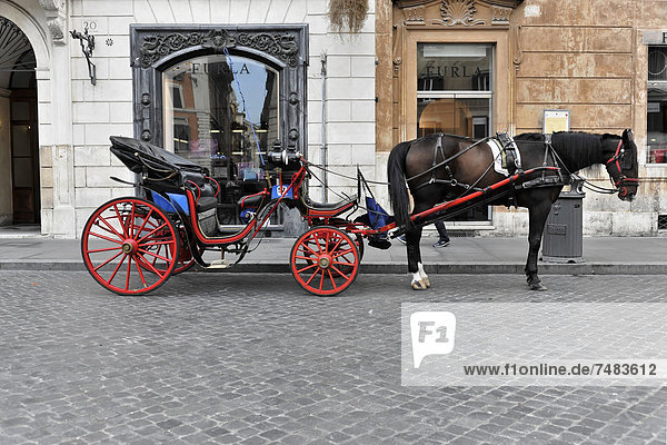 Horse carriage for tourists  Rome  Lazio  Italy  Europe