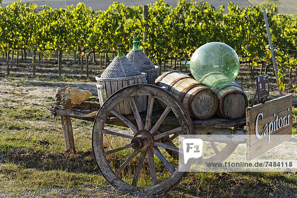 Eingang zum Weingut Capitoni Orcia-Tal Val dÆOrcia Pienza Region Toskana Provinz Siena Italien Europa