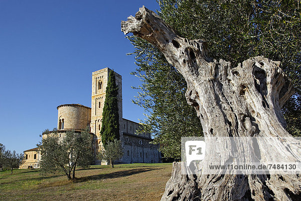 Abtei SantÆAntimo Castelnuovo del Abate Montalcino Region Toskana Provinz Siena Italien Europa
