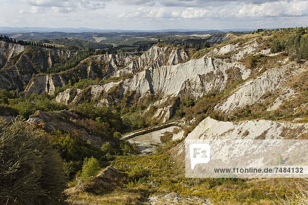 Crete von Siena Crete Senesi w÷rtlich: die Tonminerale von Siena Erosionsformen Calanchi bei Chiusure Buonconvento Region Toskana Provinz Siena Italien Europa