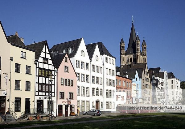Old Town with Great St. Martin Church  Cologne  North Rhine-Westphalia  Germany  Europe  PublicGround