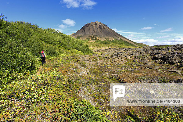 Junge Frau beim Trekking  Krafla  Nordisland  Island  Europa