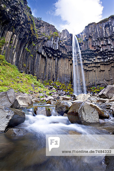 Svartifoss waterfall  Skaftafell  South Iceland  Iceland  Europe