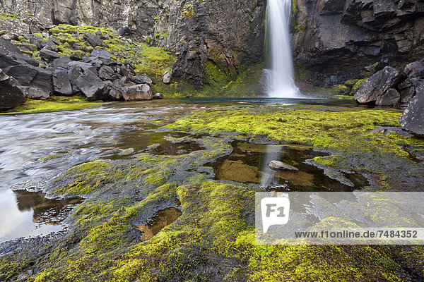 Waterfall with moss  East Iceland  Iceland  Europe