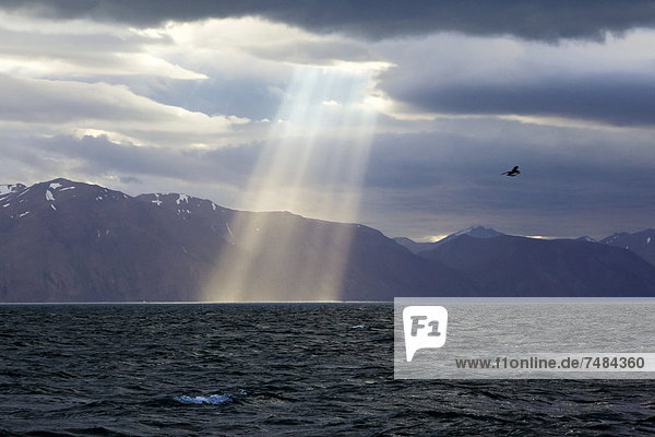 Sunlight breaking through storm clouds  Iceland  Europe
