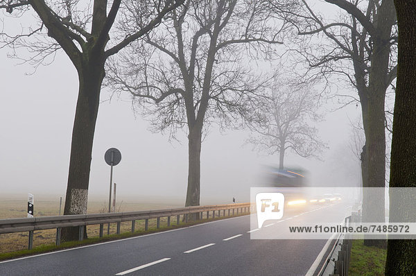 Deutschland  Brandenburg  Verkehr auf der Landstraße im Nebel