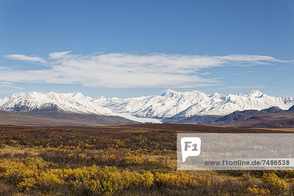 USA Alaska Landscape along Denali Highway in autumn with Alaska Range
