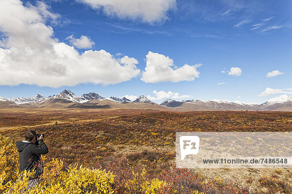 USA  Alaska  Touristen fotografieren Alaska Range im Herbst