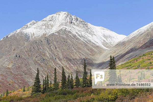 USA  Alaska  Landschaft am Denali Highway im Herbst mit Alaska Range