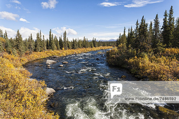 USA  Alaska  Blick auf Bach und Landschaft im Herbst