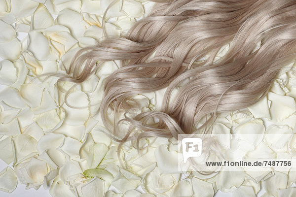Nahaufnahme von blonden Haaren auf weißen Rosengewächsen
