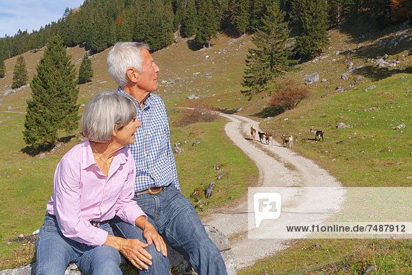 Deutschland  Bayern  Seniorenpaar auf Bergwanderung bei Wendelstein