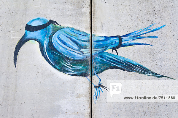 Graffiti von Banksy auf der Sperrmauer  Palästina  West-Asien