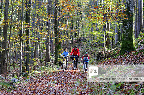 Vater und Kinder beim Mountainbiken  Radfahren  im Wald bei Grainau  Werdenfelser Land  Oberbayern  Bayern  Deutschland  Europa
