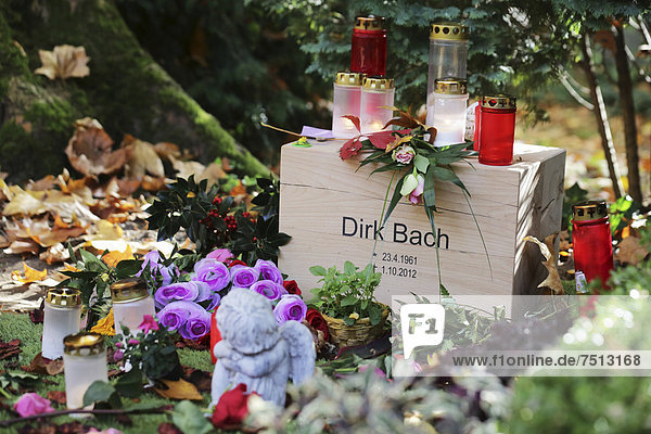 Grave of actor and entertainer Dirk Bach at Melatenfriedhof cemetery  Cologne  North Rhine-Westphalia  Germany  Europe
