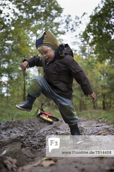 Little boy jumping with joy into a muddy puddle during an autumn walk  Brandenburg  Germany  Europe