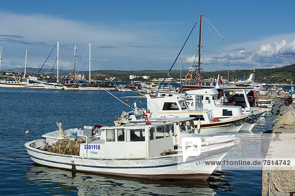 Zeytineli Köyü  harbour with fishing boats  Ilica  Izmir Region  Turkey  Asia