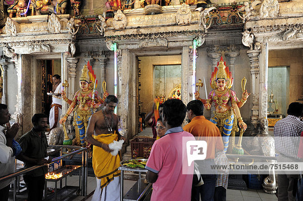 Religiöses Ritual in einem Hindu-Tempel  Veerama Kaliamman Tempel  Serangoon Straße  im indischen Viertel  Little India  Innenstadt  Singapur  Asien