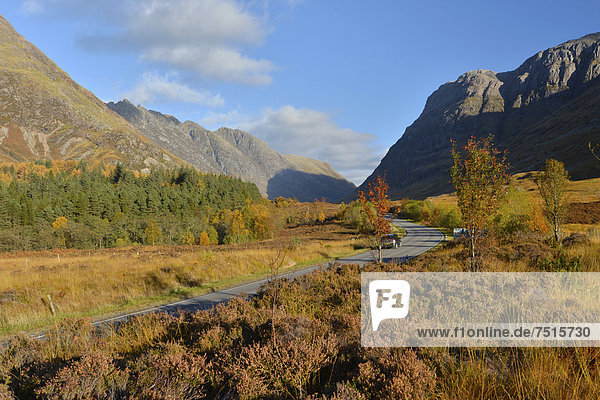 A82  Herbst im Glencoe Tal  schottische Highlands  Schottland  Großbritannien  Europa