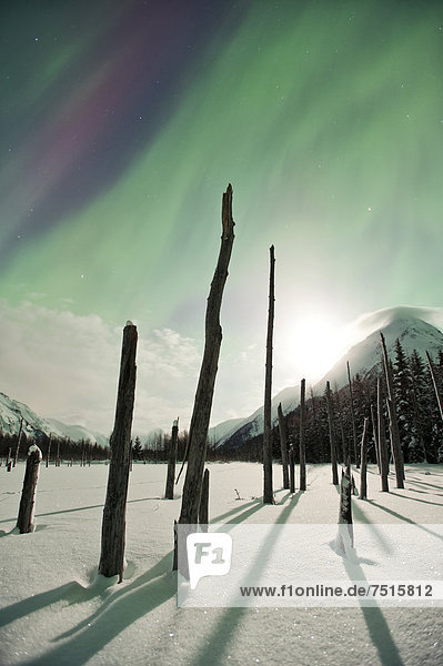 Mondlich and Polarlichter im Portage-Tal  Alaska