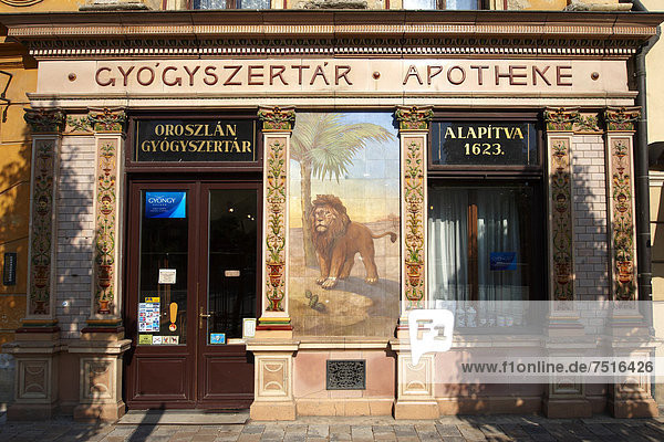 Löwe Panthera leo Europa Pharmazie Kachel Ungarn Apotheke