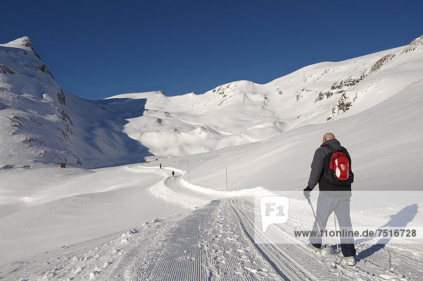 Walker in the snow in the mountains near Grindelwald First  Swiss Alps  Switzerland  Europe