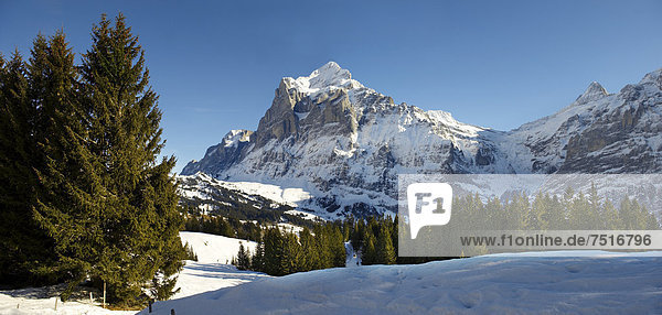 Verschneite Alpenpisten mit blick auf das Wetterhorn  Schweiz  Europa
