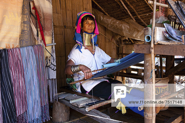 Padaung Langhals-Frau mit Halsringen beim Weben eines Gewandes  Hilltribes  Bergvölker  Chiang Rai  Nordthailand  Thailand  Asien