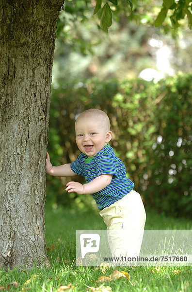 Einjähriges Baby steht am Baum