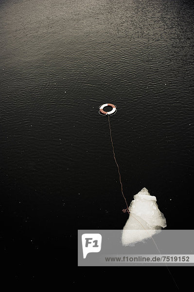 Life buoy and floating ice